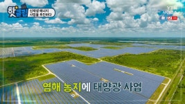 신재생 에너지 사업을 추진하다