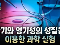 산기와 염기성의 성질을 이용한 과학 실험