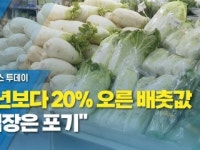 농수산물판매선소금 | 평년보다 20% 오른 배춧값..."김장은 포기"