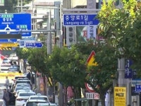 가로수 주변 아스팔트 포장 안 하면 냉각 효과 2배