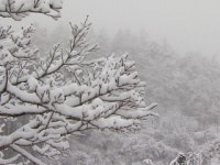 강원 산간 70cm 폭설...동해안 230mm 기록적 폭우