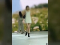 [제보는Y] 공무원이 런웨이에?...겸직허가 없이 동료들과 인증샷