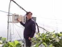 [녹색] 스마트팜 업그레이드 쉬워진다...농업용 앱스토어 아라온실 개발