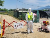 창녕 오리농장에서 고병원성 조류인플루엔자 확진