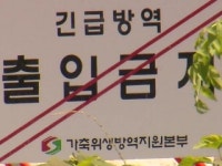 안동에서 아프리카돼지열병...영천 사례 이후 17일 만에 발생