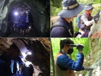 울진·단양에 리튬 확인...금강송 보호구역이라 채굴 안 되지만