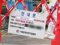 충북 보은 한우농장서 럼피스킨 발생...올해 22번째