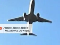 메이데이, 조류 충돌...처음이자 마지막 조난신호