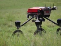 논밭 뛰어다니는 로봇...농업도 AI 전성시대