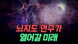 뇌지도 연구가 열어갈 미래