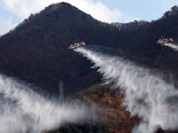산림청 경북 영덕 지역 산불 주불 진화 완료