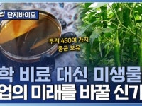 땅과 식물을 살리는 균? 친환경 미생물 비료 기업
