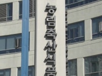 모든 반려동물 영업장에 CCTV...동물보호법 시행령 개정