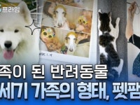 멍냥이네 행복 보고서