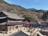 도량, 지역민 속으로...문화·힐링 공간 탈바꿈