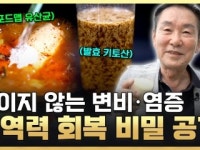 전신 건강의 중심축 무너진 면역력을 되살려라