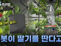 스마트 팜, 스마트 라이프