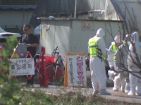 광주 기러기 농장에서 H5형 AI 항원 검출...방역 조치