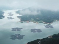 APEC 찾은 빅테크들…재생에너지 투자 한국만 패싱?