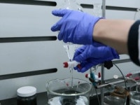 과기정통부 과학기술 인재 확보 전략 이달 말 발표