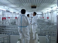 IT로 바꾸는 축산 현장...청년 농부들이 모였다