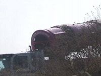 전북 남원 육용종계 농장서 고병원성 조류인플루엔자