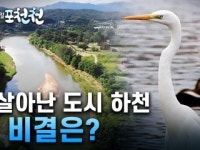 [특집] 사람을 품은 물길, 포천천