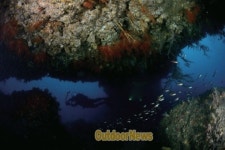 SCUBA DIVING ㅣ서귀포시 화순 쌍굴~아치 포인트
