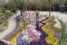 수도권 노르딕워킹 산책길 5선