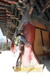 KOREA TRAVEL｜안성 ③Trekking