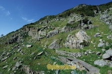 섬 캠핑 l 가거도