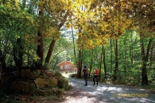 KoreaTravel｜괴산 ② 산길