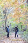Backpacking | 강원도 인제 곰배령 ② 걷기