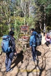 Backpacking | 강원도 인제 곰배령 ② 걷기