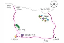 우리 산하 타박타박 | 인제 원대리 자작나무 숲길
