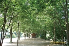 Backpacking | 경기도 하남 검단산 ⑤ 경기도 캠핑장 11선