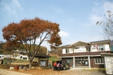 Korea Travel｜홍천 ④ 산길