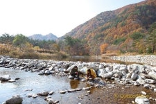 Tramping | 강릉 ①