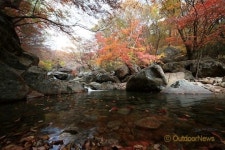 섬진강 편지 | 지리산 빗점골