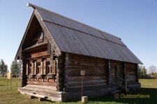 소재이야기 | 나무 ②