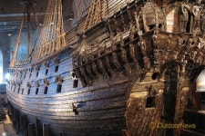 소재이야기 | 나무 ②