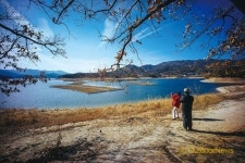 우리 산하 타박타박 | 대청호반길
