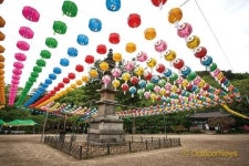 테마 캠핑 | BUDDY CAMPING ③