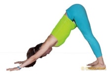 YOGA |피로는 풀고 몸매는 탱탱하게