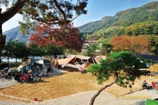 양주에 그린빌2 캠핑장 오픈