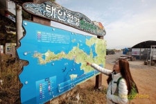 소나무 사이로 바닷바람 놀러와 속삭였다…솔향기길 1코스
