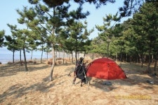 산과 들과 바다가 있는 섬에서 나만의 자유를 찾아요