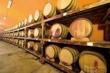 양조장 체험과 함께 하는 캠핑장 9선