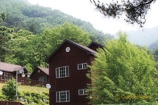 녹음이 푸르른, 전국 휴양림 9선