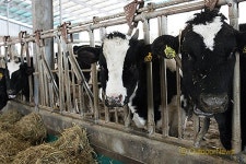 녹조·장마철 대비 가축분뇨시설 특별점검